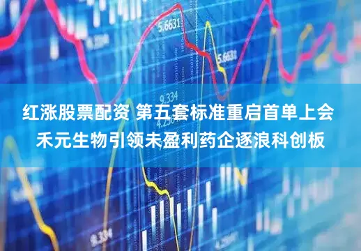 红涨股票配资 第五套标准重启首单上会 禾元生物引领未盈利药企逐浪科创板