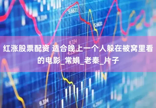 红涨股票配资 适合晚上一个人躲在被窝里看的电影_常娟_老秦_片子